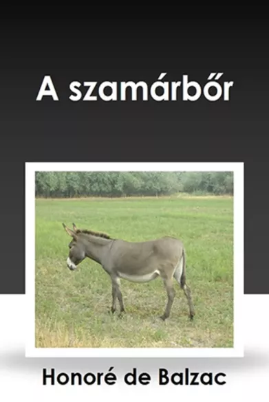 A szamárbőr borító