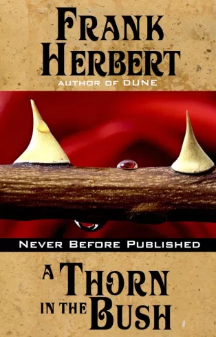 A Thorn in the Bush borító