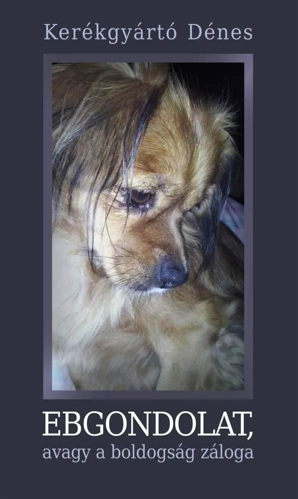 Ebgondolat, avagy a boldogság záloga borító