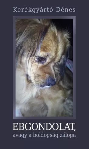 Ebgondolat, avagy a boldogság záloga borító