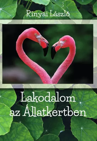 Lakodalom az állatkertben borító