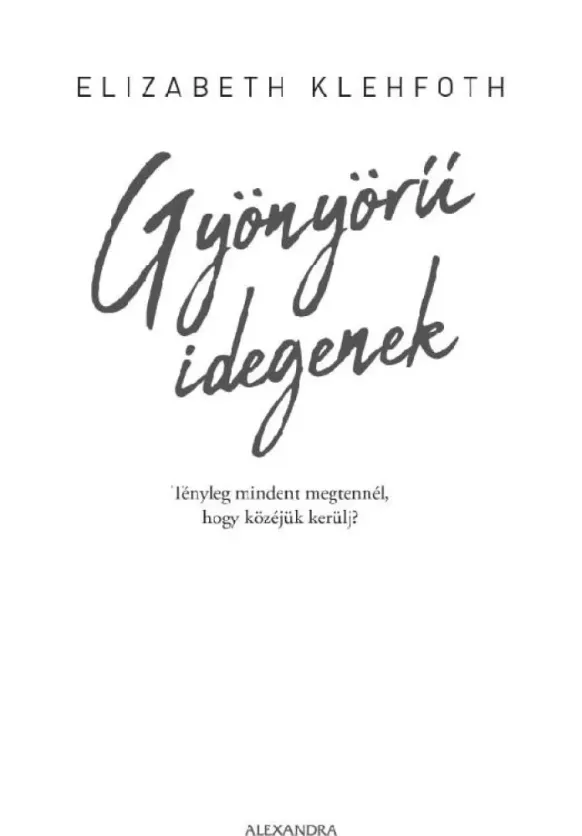 Gyönyörű idegenek borító