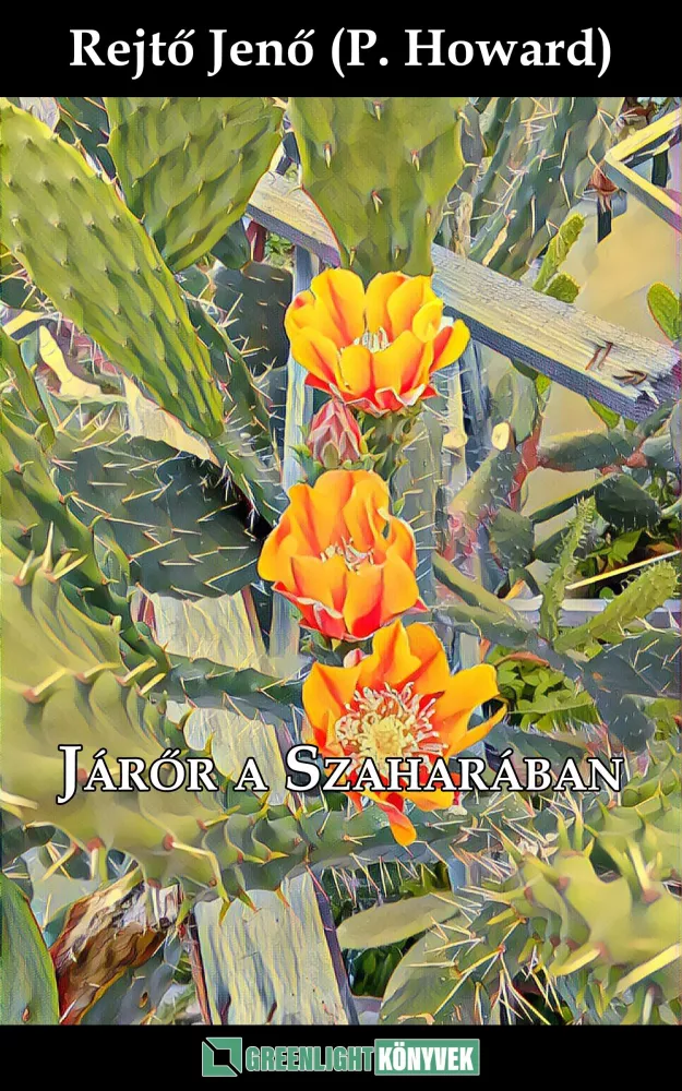 Járőr a Szaharában borító