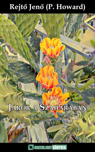 Járőr a Szaharában borító