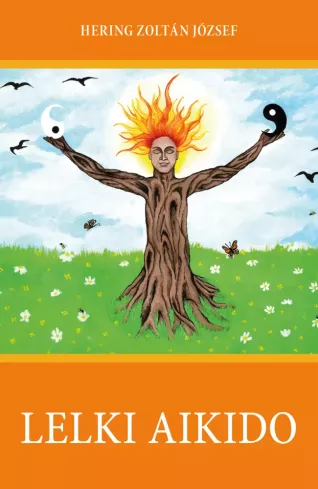 Lelki Aikodo borító