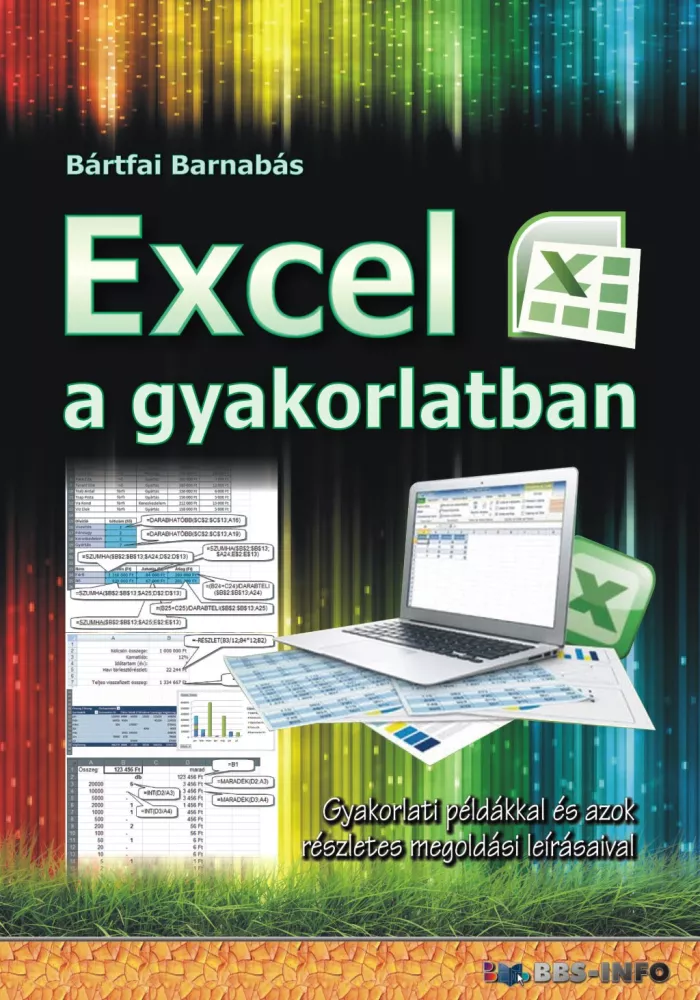 Excel a gyakorlatban borító