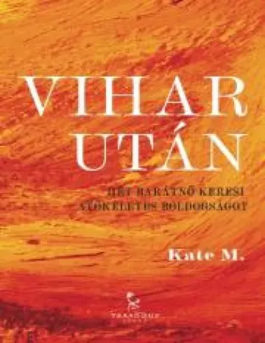 Vihar után borító