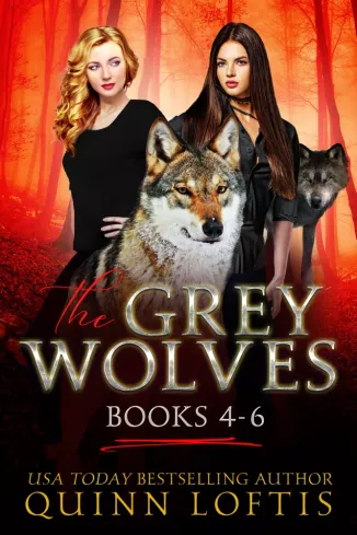 The Grey Wolves Series Books 4-6 borító