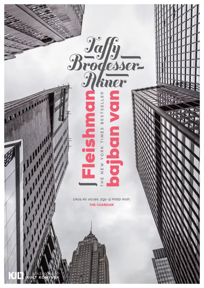 Fleishman bajban van borító