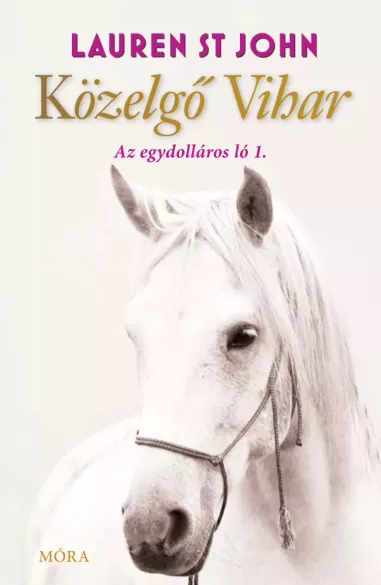 Közelgő vihar borító