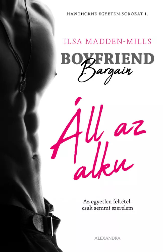 Boyfriend Bargain – Áll az alku borító