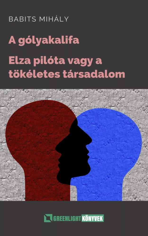 A gólyakalifa; Elza pilóta borító