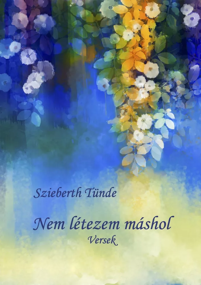 Nem létezem máshol borító