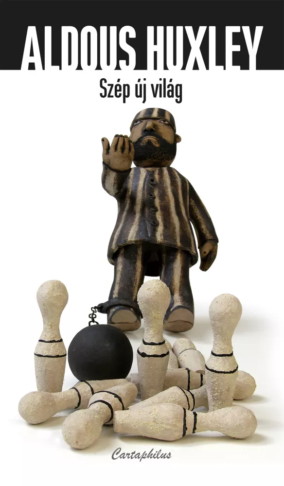 Szép új világ borító