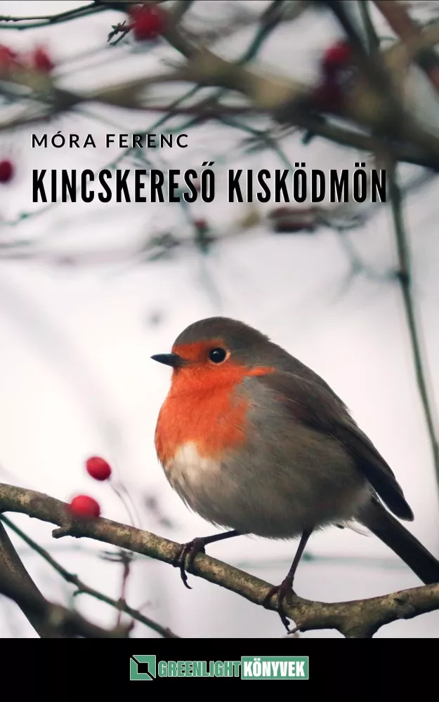 Kincskereső kisködmön borító