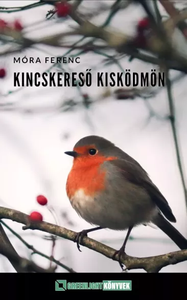 Kincskereső kisködmön borító