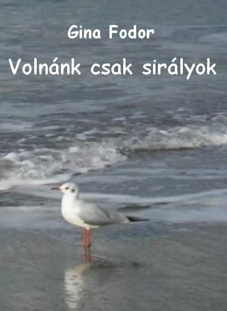 Volnánk csak sirályok borító