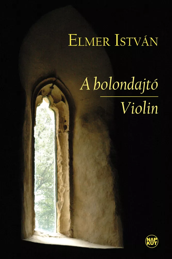A bolondajtó / Violin borító