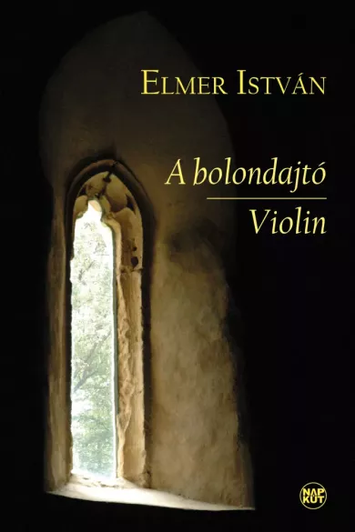 A bolondajtó / Violin borító