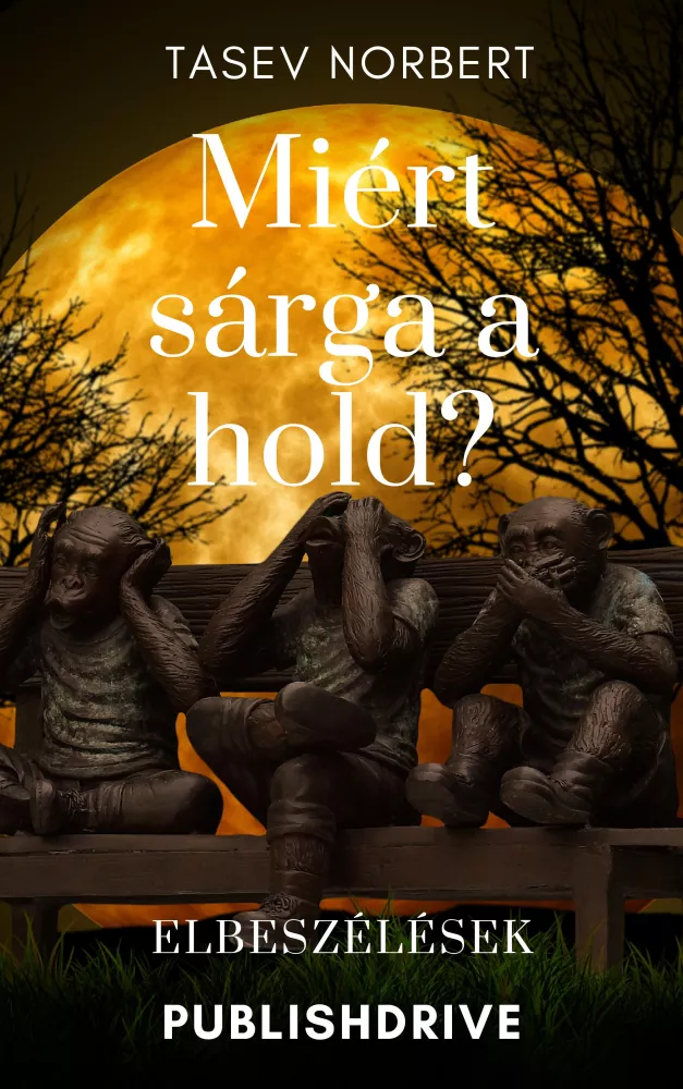 Miért sárga a hold? borító