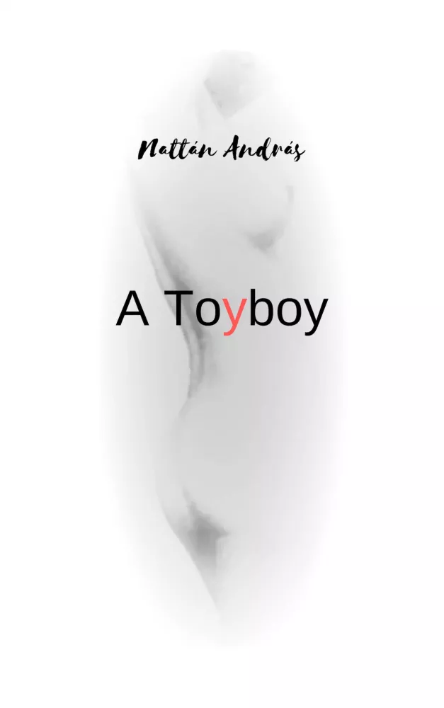 A Toyboy borító