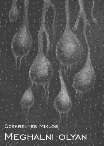 Meghalni olyan / Élni olyan borító