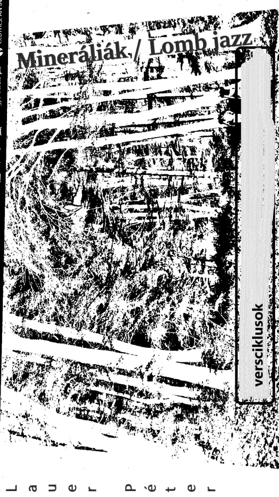 Mineráliák / Lomb jazz borító