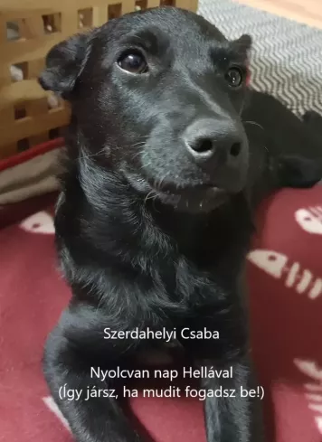 Nyolcvan nap Hellával borító