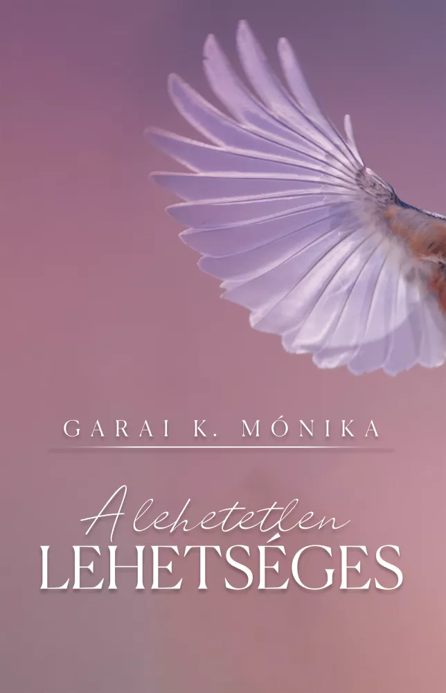 A lehetetlen lehetséges borító