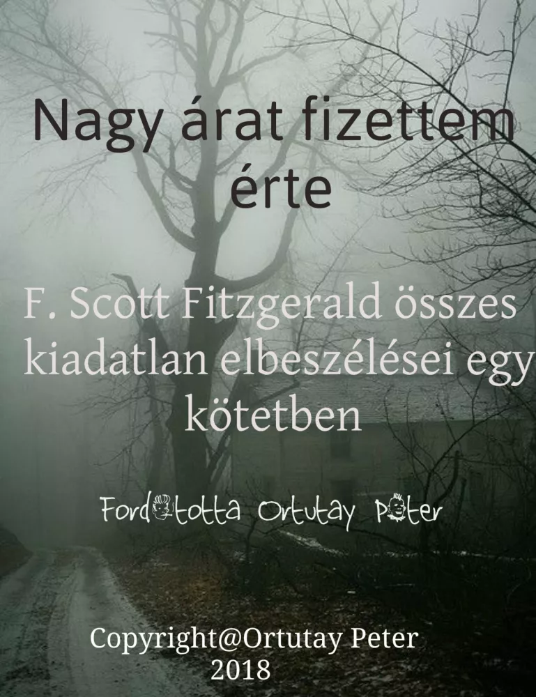 Nagy árat fizettem érte borító