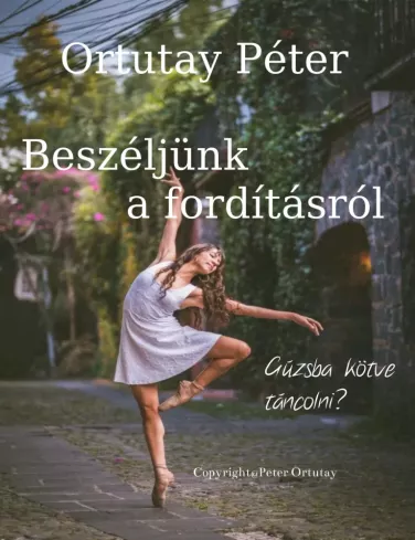 Beszéljünk a fordításról borító