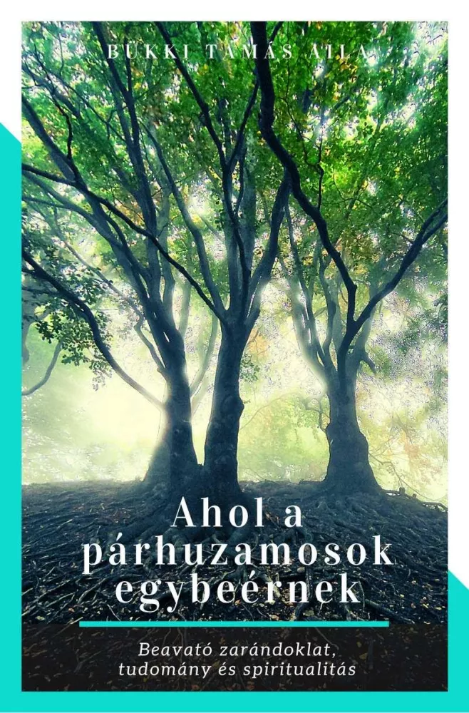 Ahol a párhuzamosok egybeérnek borító