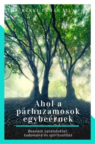 Ahol a párhuzamosok egybeérnek borító