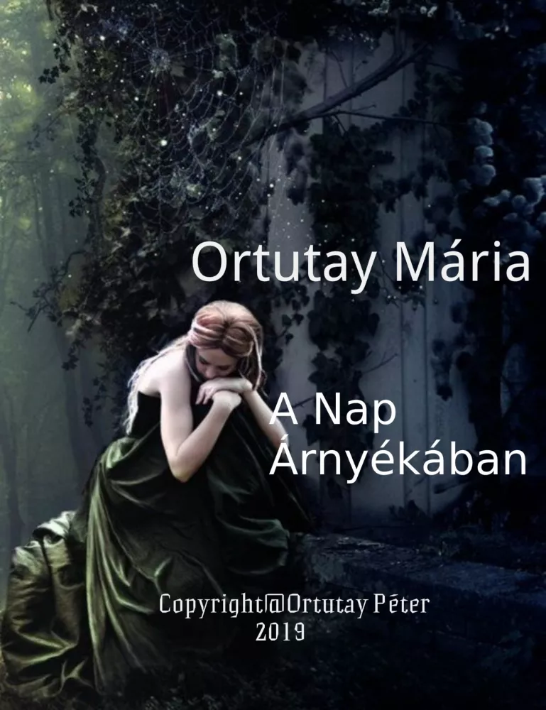 A Nap árnyékában borító