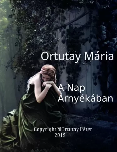 A Nap árnyékában borító