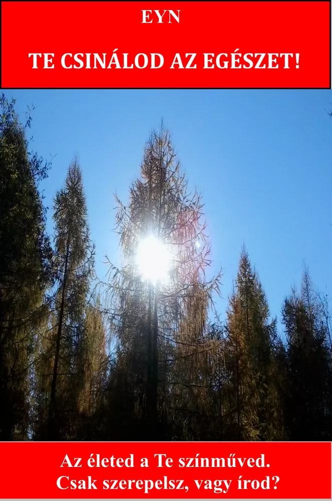 Te csinálod az egészet! borító