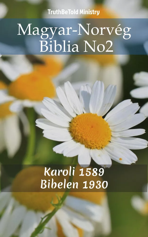 Magyar-Norvég Biblia No2 borító
