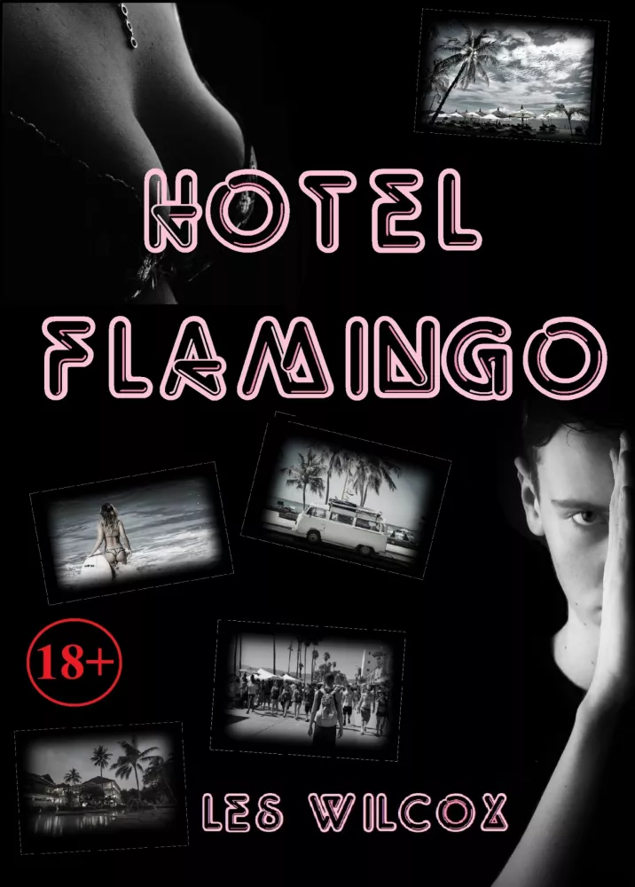 Hotel Flamingo borító