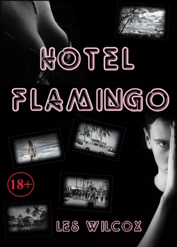 Hotel Flamingo borító