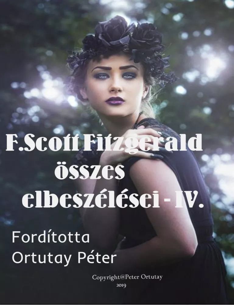 Fitzgerald összes elbeszélései-IV. borító