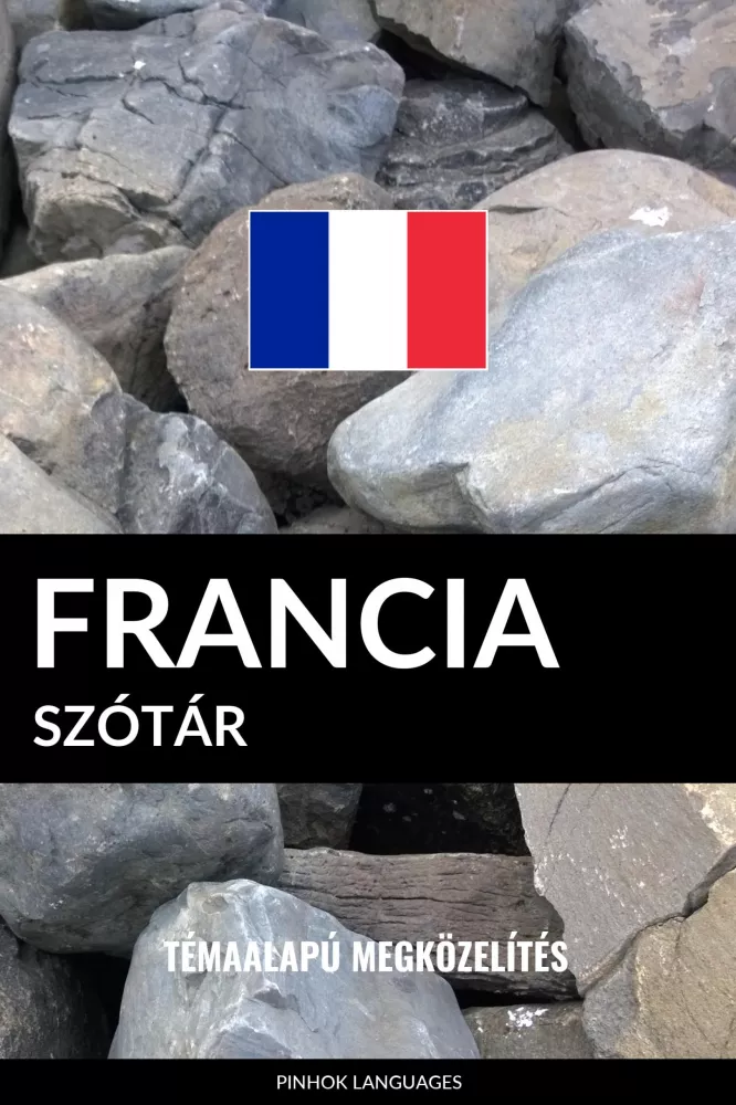Francia szótár borító