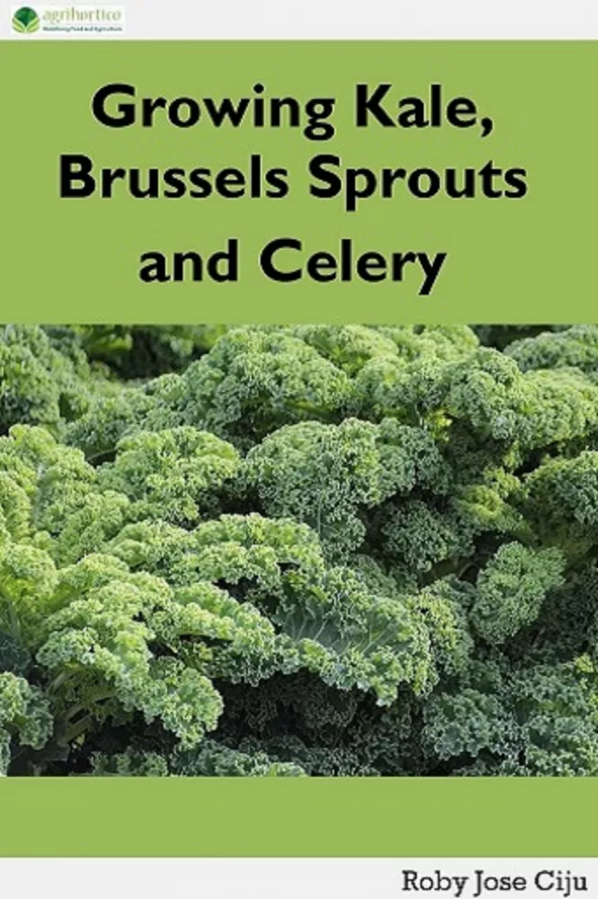 Growing Kale Leaves, Brussels Sprouts and Celery borító