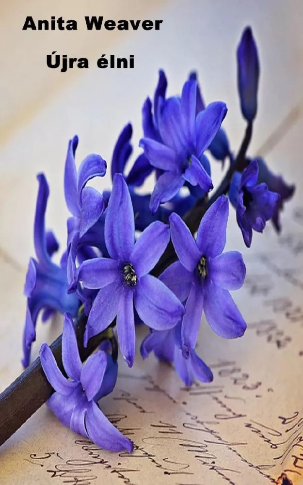 Újra élni borító