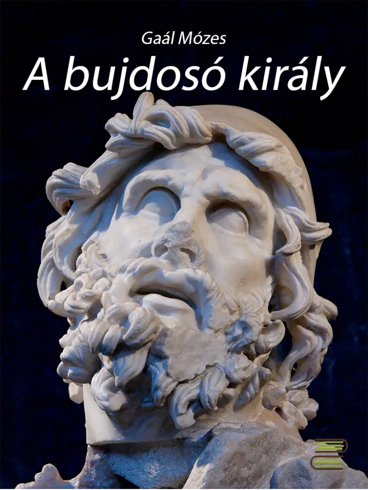 A bujdosó király borító