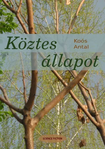 Köztes állapot