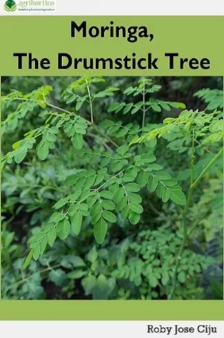 Moringa, the Drumstick Tree borító
