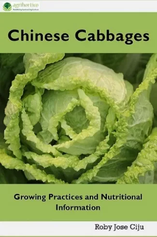 Chinese Cabbages borító