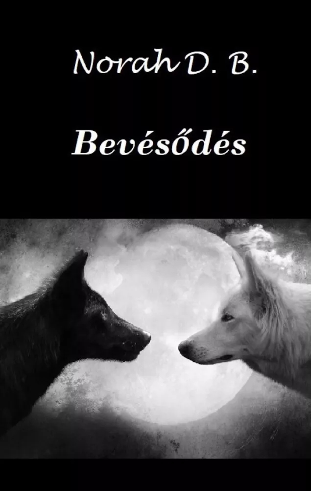 Bevésődés borító