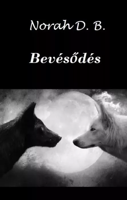 Bevésődés borító