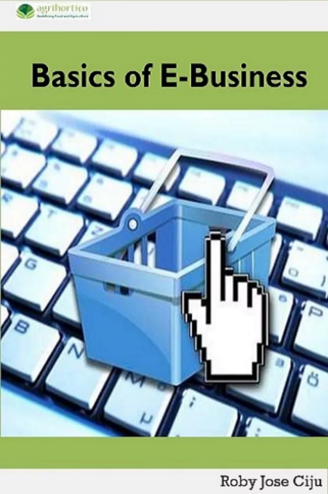 Basics of E-Business borító